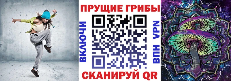 Купить  Велиж  Псилоцибиновые грибы Psilocybine cubensis 